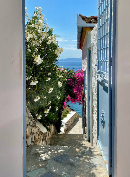 An iron gate opens to a breezeway lined with flowering trees on a sunny day. The walkway leads to the sea, and mountains can be seen under the blue sky. Hydra, Greece