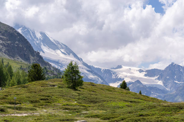 Beautiful Matterhorn peak towering above chalets and lush green pine forest in Zermatt, Switzerland. The city is ranked as one of the cleanest and the pollution free city of the world.
