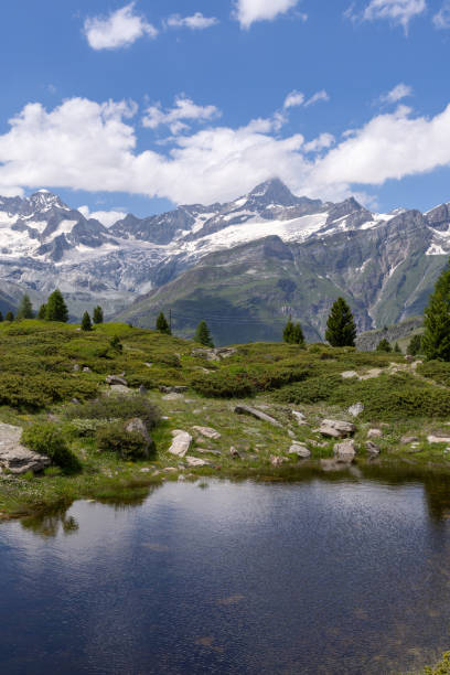 A tranquil alpine meadow featuring a reflective pond, surrounded by lush greenery and framed by snow-capped mountains under a partly cloudy sky.