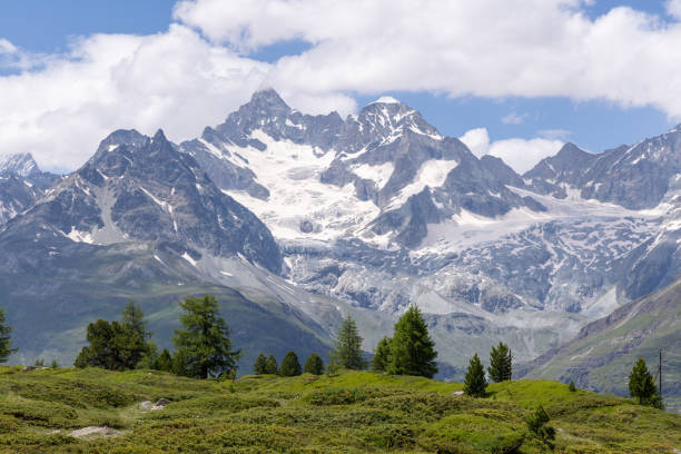 A stunning view of snow-capped mountain peaks towering above a lush green landscape, with trees dotting the foreground under a bright blue sky.