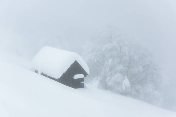 Log cabin in the mountain on a cloudy winter day.