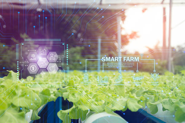 istock The concept of using AI and smart farming. 2165899757