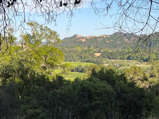 istock Healdsburg Ridge Open Space Preserve, Sonoma County, California 2165900237