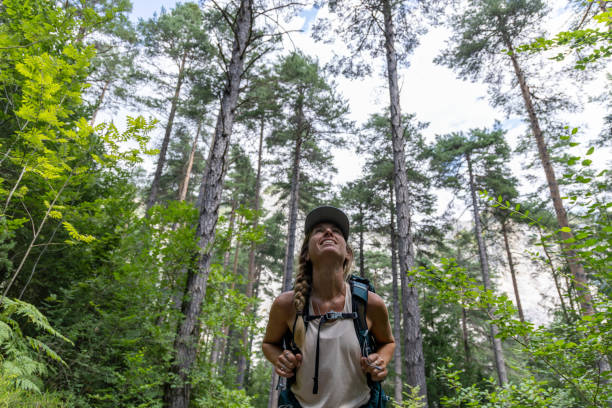 A hiker pauses to admire the tall trees in a dense forest, looking up with a smile. The scene captures the joy of outdoor exploration and the beauty of nature's canopy.