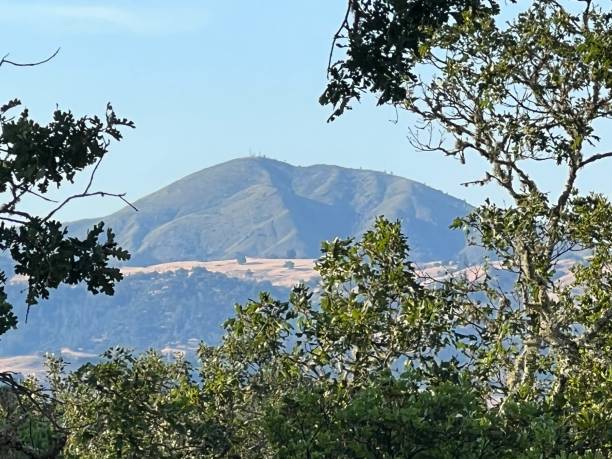 Healdsburg Ridge Open Space Preserve, Sonoma County, California