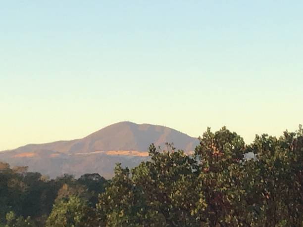 Healdsburg Ridge Open Space Preserve, Sonoma County, California