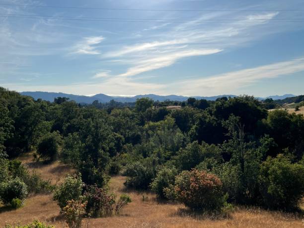 istock Healdsburg Ridge Open Space Preserve, Sonoma County, California 2165900507