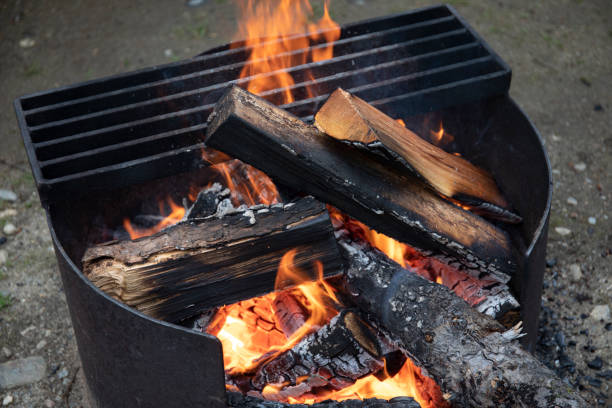 Canada, British Columbia, Wells Grey Park, Campfire burns in metal hearth at campsite