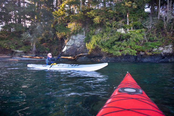 istock POV to man ocean kayaking along coastline 2165901238
