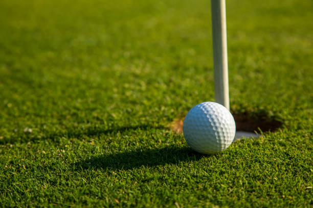 istock Closeup Golf ball on green grass on course 2165902196