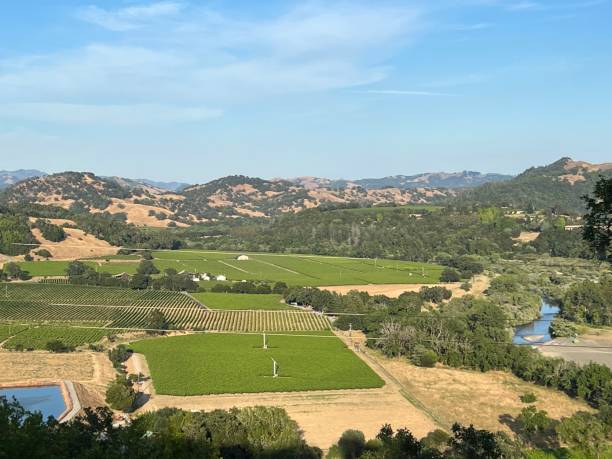 istock Healdsburg Ridge Open Space Preserve, Sonoma County, California 2165902441