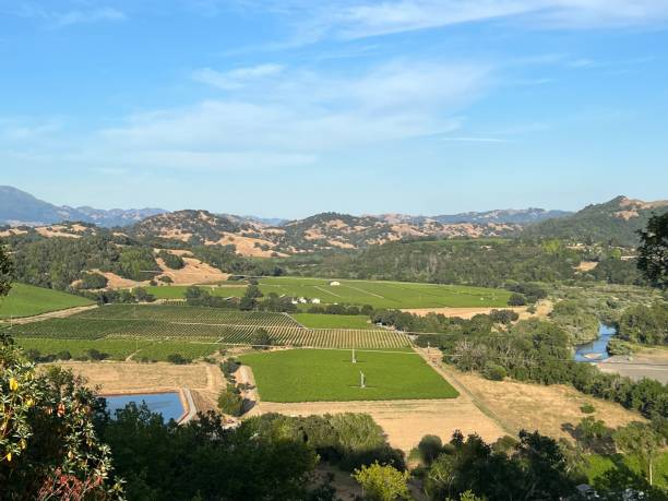 istock Healdsburg Ridge Open Space Preserve, Sonoma County, California 2165902442