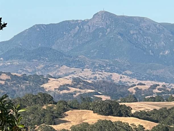 istock Healdsburg Ridge Open Space Preserve, Sonoma County, California 2165902461