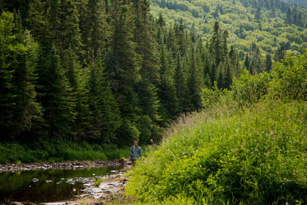 Man, returning, fishing, forest, summer, Quebec, casual attire, wet clothes, fishing gear, waders, backpack, path, dense trees, foliage, dirt trail, sunlight, relaxed, tired, tranquil, natural setting, adventure, outdoors, scenic, nature, gear, forest floor, hobby, summer, activity
