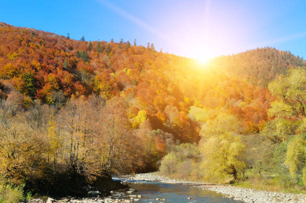 istock A mountain river with a fast flow, an autumn forest and bright sunrise. Carpathian Mountains, Ukraine. 2165909661