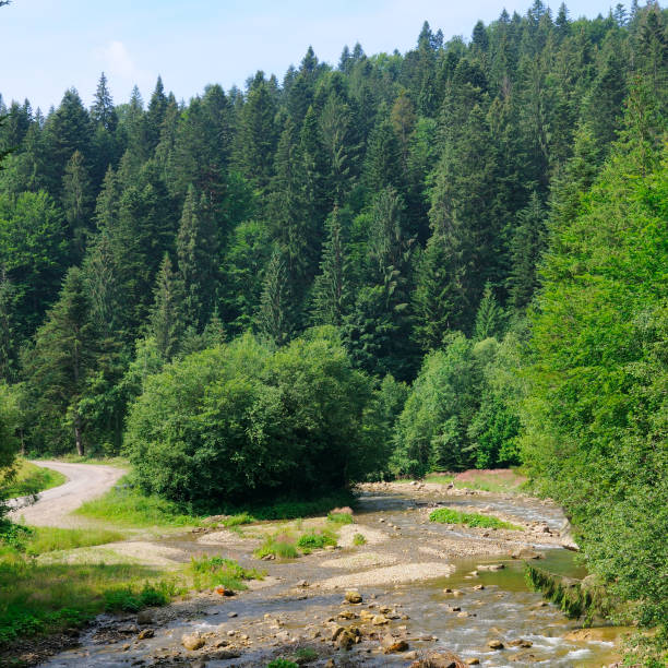 istock Mountain river, coniferous forest - beautiful landscape. 2165909665