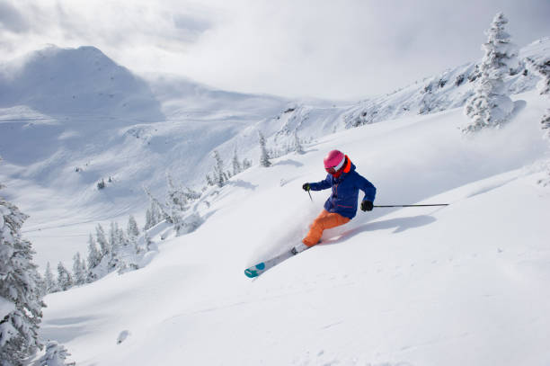 istock Woman skis fresh powder snow 2165910862