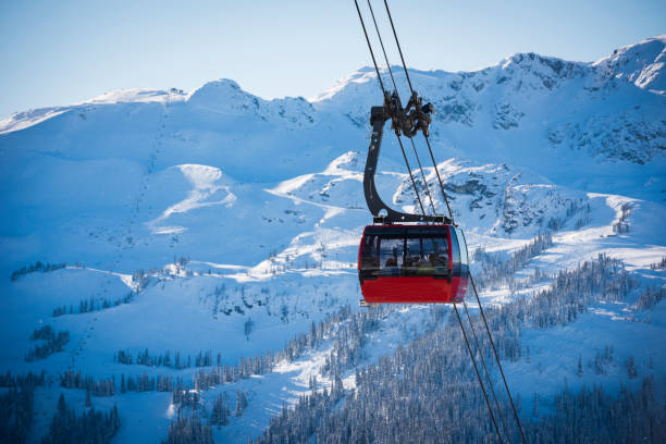 istock Gondola on cables above forest and mountains in winter 2165910997