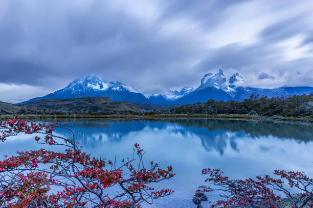 In Torres del Paine National Park of Patagonia, Chile, you can see magnificent views of the Los Cuernos mountains from the shores of Lake Pehoe.  The blues of the peaks and their reflection in the lake are perfectly contrasted and brought to life by the red blossoms in the foreground.