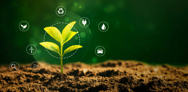 istock Sustainability, energy efficiency, energy crisis 2165914057