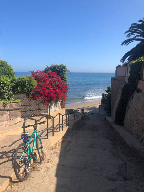 Bike at beach pathetic with bougainvillea in Montecito, California