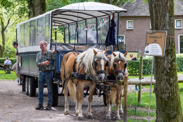Orvelte, The Netherlands - July 9, 2024: Coverd tourist wagon with Haflinger horses in Orvelte picturesque monumental little town in Drenthe The Netherlands.