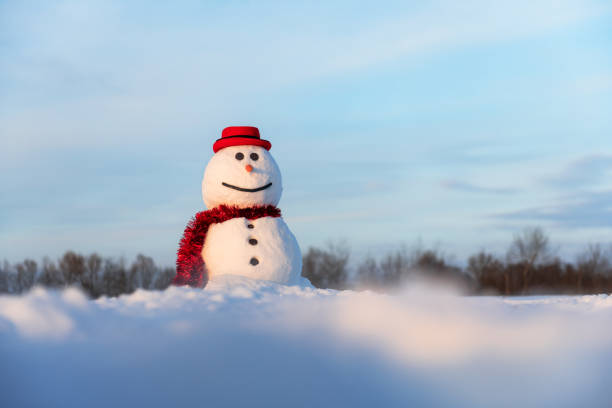 istock Funny snowman in stylish red hat 2165934819