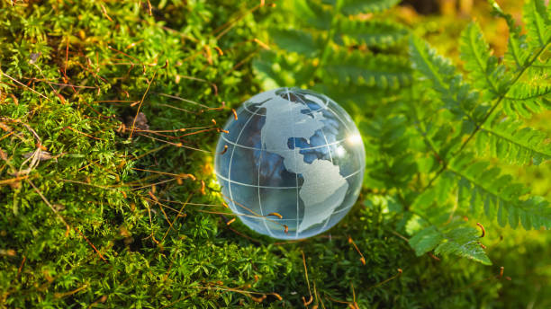 istock Protection of nature concept. 2165937325