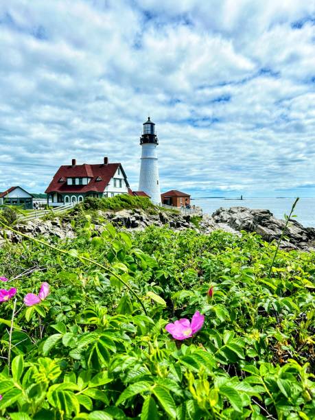 istock Portland Head Light Amidst Summer Blooms 2165940186