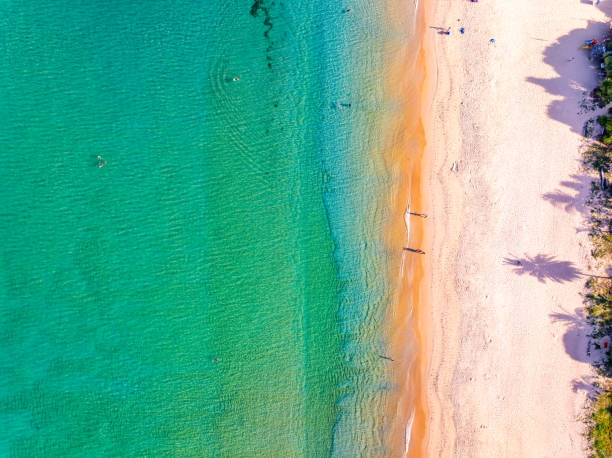 istock Beautiful sea beach and waves texture in sunny summer day background 2165941454