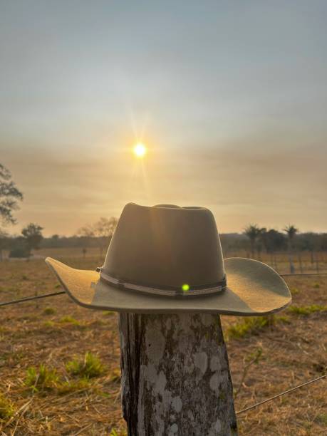 istock beautiful nature scenery. Tree with farmer's hat with Yellow Trumpet Tree (Handroanthus serratifolius) 2165942682