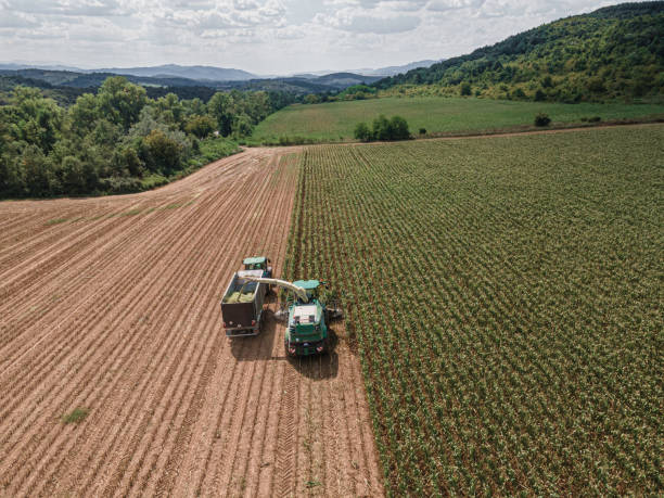 istock Smart Farming. AI-enabled Harvester Gathers Corn. Aerial view. 2165944337