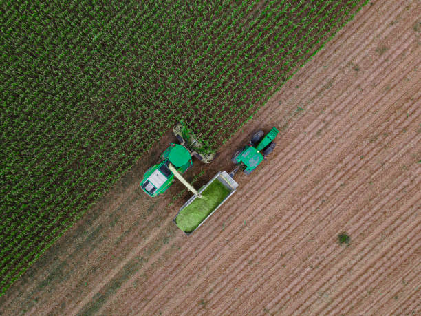 istock Smart Farming. AI-enabled Harvester Gathers Corn. Aerial view. 2165944339