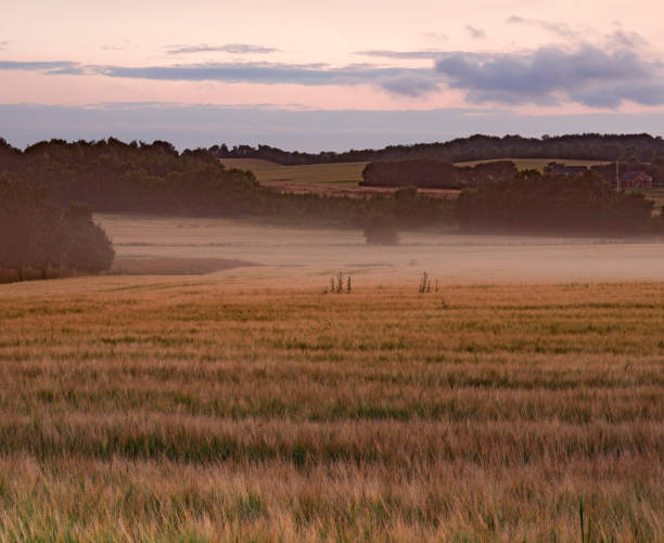 Swedish nature and landscape.