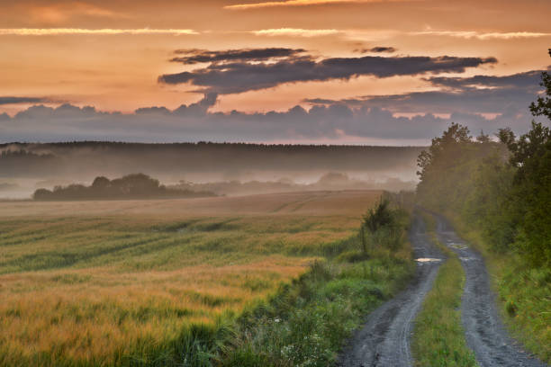 istock Countryside in harvest 2165944388
