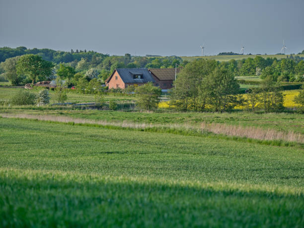 Panoramic of a summer landscape in the province of Limburg, Netherlands. This region near the village of Eys with its rolling hills, cypresses and vineyards is known as the Dutch Tuscany.