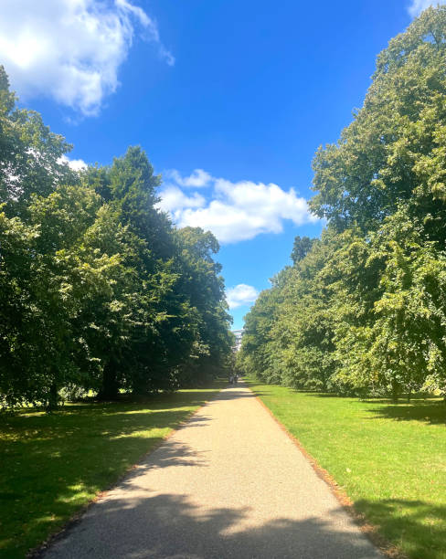 istock Leafy gravel path in London 2165944916