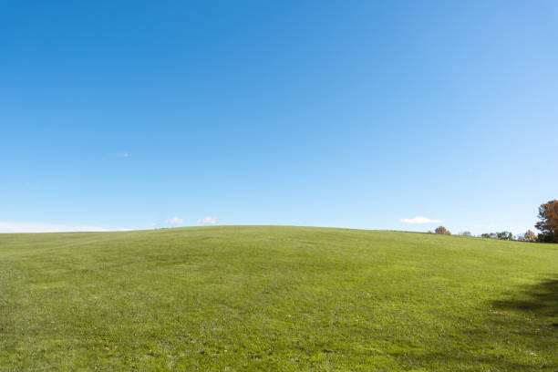 Photo of a green grass hills on a sunny day with a blue and clear sky