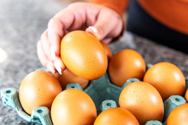 istock closeup of a hand taking an egg 2165950652