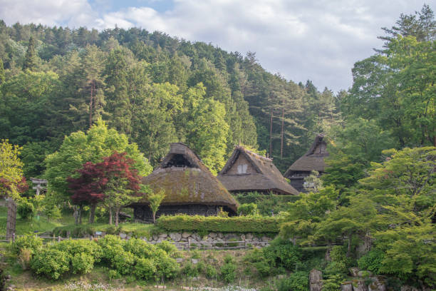 istock Traditional thatched-roof houses 2165954216