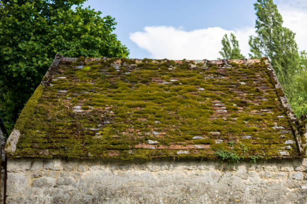 istock Moss-Covered Roof on Stone Building 2165956208