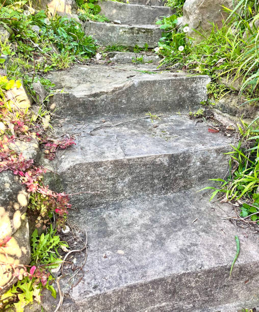 istock Stone stairway with overgrown grass 2165956392