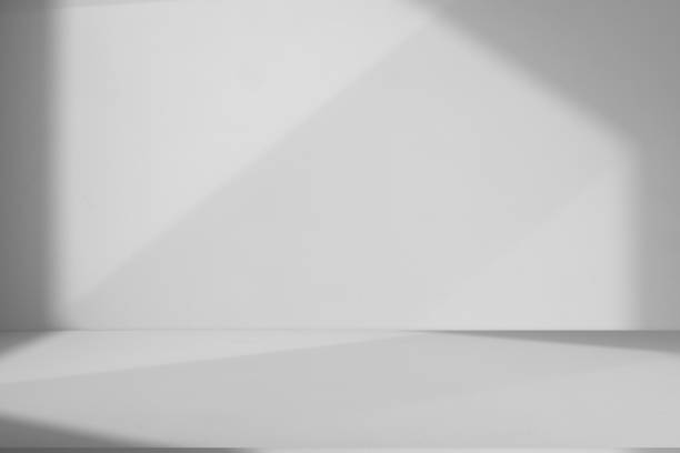istock Studio style background wall decoration presentation uses white tones. with shadows cast from a nearby window, concept creating a decorative backdrop. 2165962589