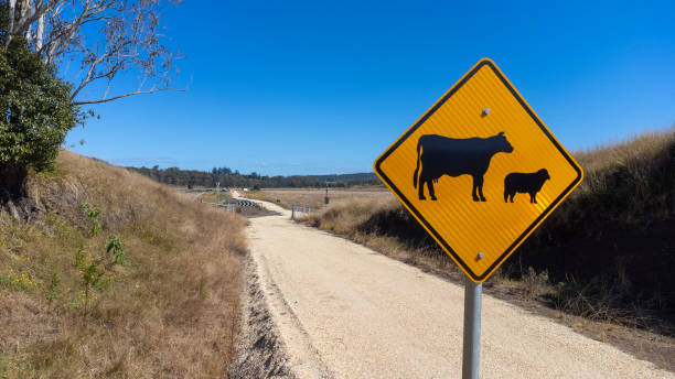 istock Cattle sign on a rail trail hiking path 2165968038