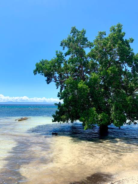 istock Siquijor Island 2165968564