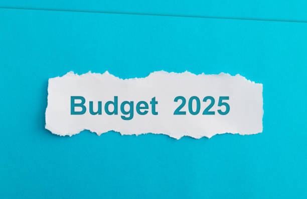 istock Text budget 2025 written scraps of paper on blue background 2165969556