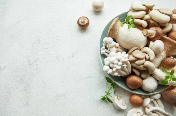 istock Assortment of various raw mushrooms on gray concrete background 2165975313