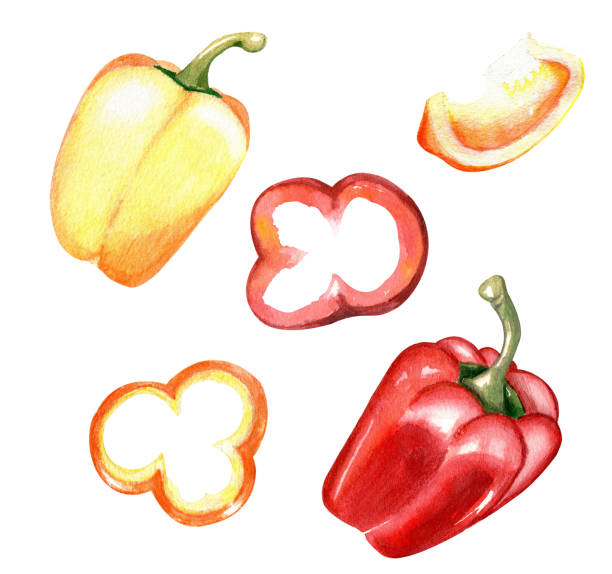 istock Watercolor collection of vegetables, red bell pepper in different positions, cut, slice isolated on white background. 2165975587