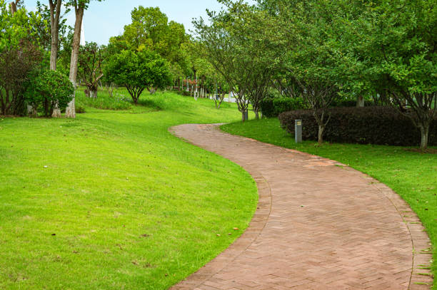istock Footpath through the lush green park 2165976113