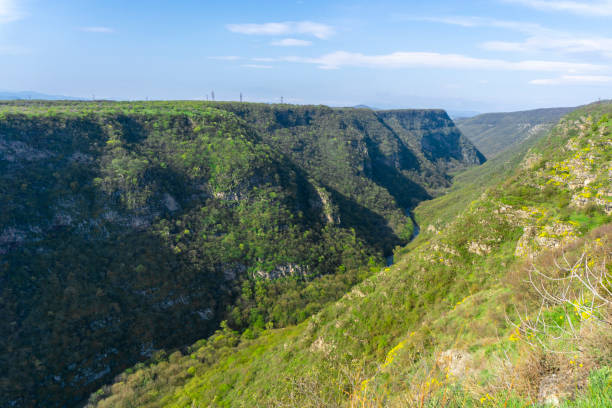 Deep canyon surrounded by rocks covered with trees and bushes. Blue sky with clouds.